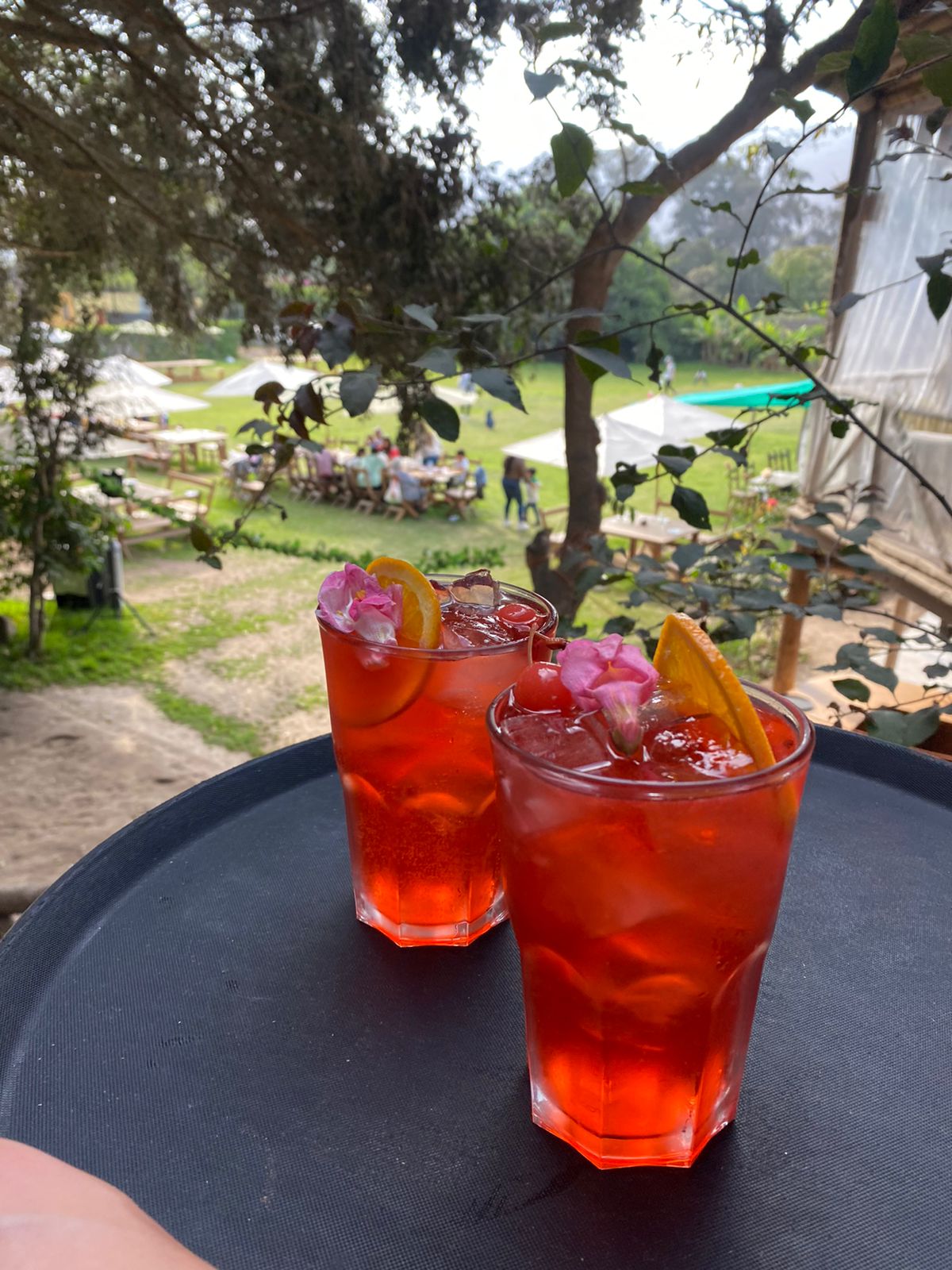 La Gloria del Campo Pachacamac foto cocteles